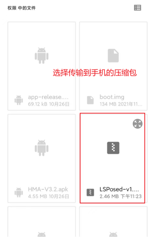 LSPosed模块最新版