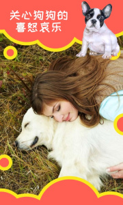 狗狗助手