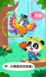 宝宝鸟类认知app