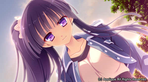 五色浮影绽放于花之海洋