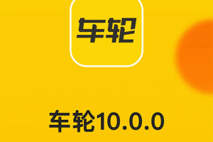 车轮查违章app