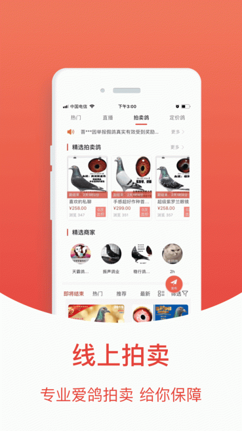 赛鸽头条app