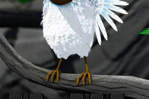 会说话的拉里鸟官方版