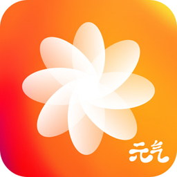 元气桌面VIP破解版