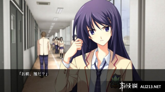 混沌之脑：诺亚