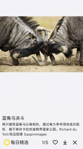 国家地理每日精选官方版