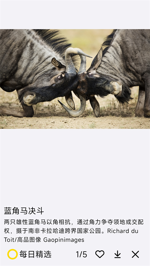 国家地理每日精选官方版