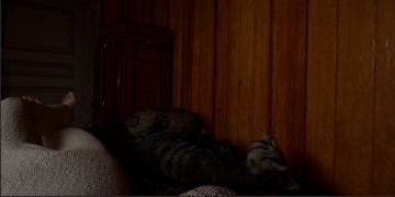 可以插别人的模拟器手游合集