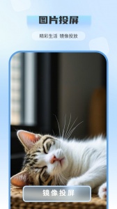 电视投屏全能王