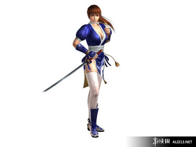 忍者龙剑传3：刀锋边缘