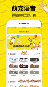 猫语交流翻译器