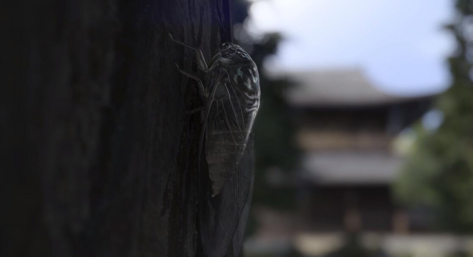 如龙7外传：无名之龙