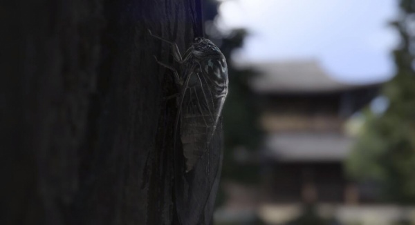 如龙7外传：无名之龙