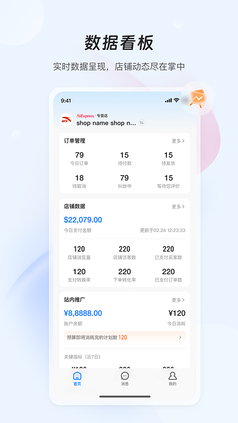 全球速卖通卖家(AliExpress)