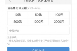 vivo服务安全插件