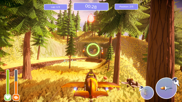 动物对抗赛：在空中