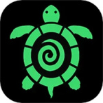 海龟汤app中文版