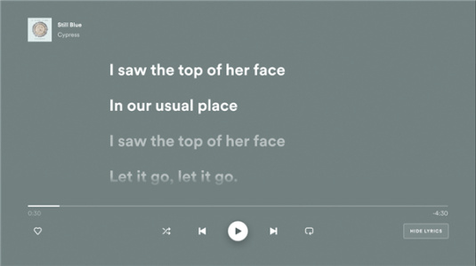 Spotify(声破天)TV版