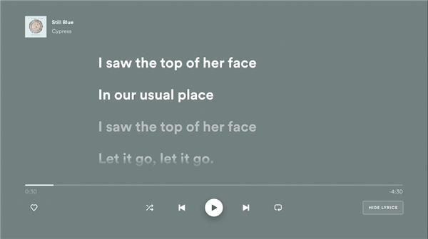 Spotify(声破天)TV版