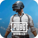 PUBGMOBILE国际服手游地铁逃生
