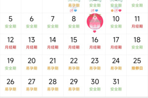 排卵期安全期日历app