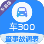 车300专业版官方版