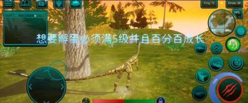 诅咒之岛国际服中文版