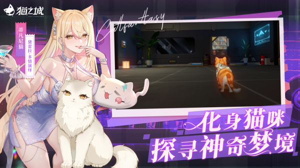 猫之城小米版