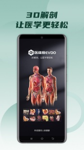 医维度人体解剖