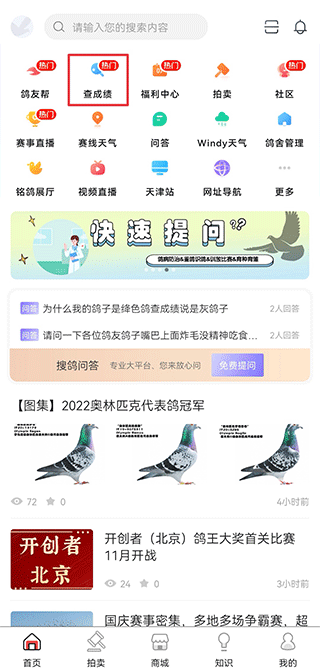 搜鸽网官方版