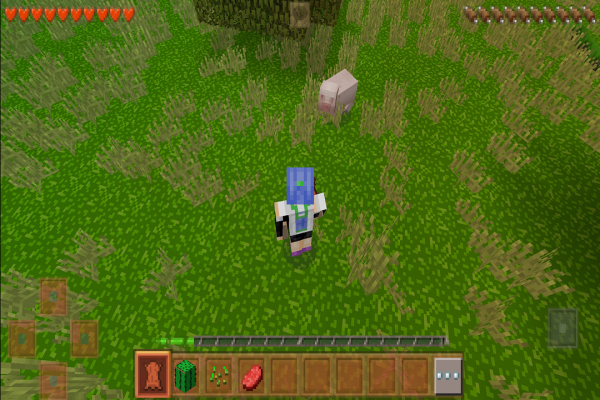 生存战争2官方正版(survivalcraft 2)