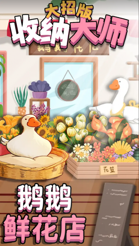 收纳大师大招版游戏