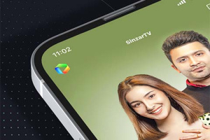 SinzarTV电视版app