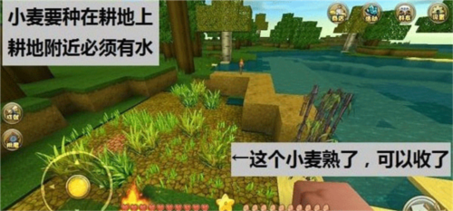 沙盒迷你世界官方正版