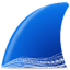 Wireshark