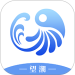 望潮app