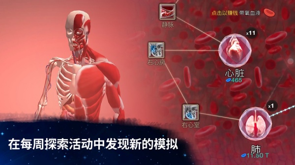 从细胞到奇点国际服最新版