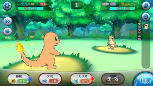 口袋进化国际服