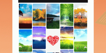 仙女p图手机软件合集