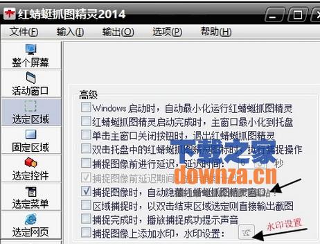 红蜻蜓抓图精灵