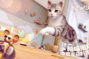 我和我的猫中文版