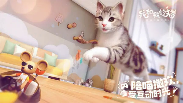 我和我的猫中文版