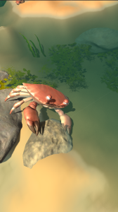 赶海之王手机版