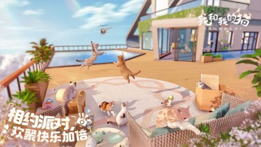 我和我的猫完整版