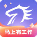 百城招聘app