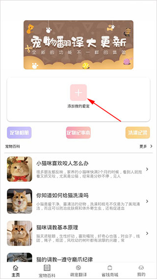 猫语Speaker