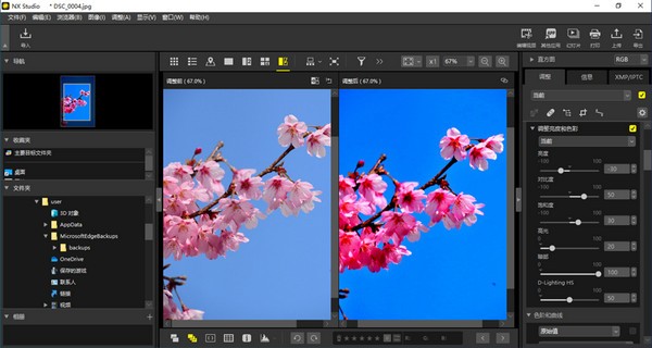 NX Studio