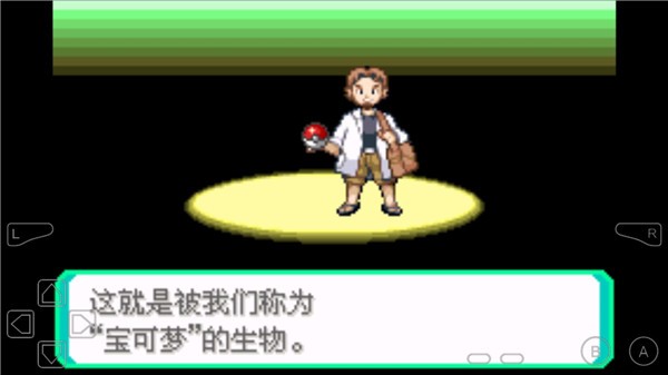 口袋妖怪究极绿宝石4小智版