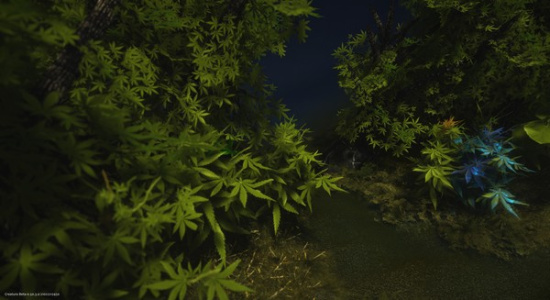 生态进化模拟器