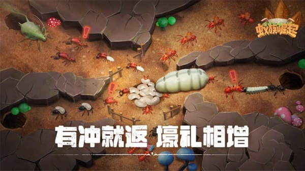 蚁族崛起华为版